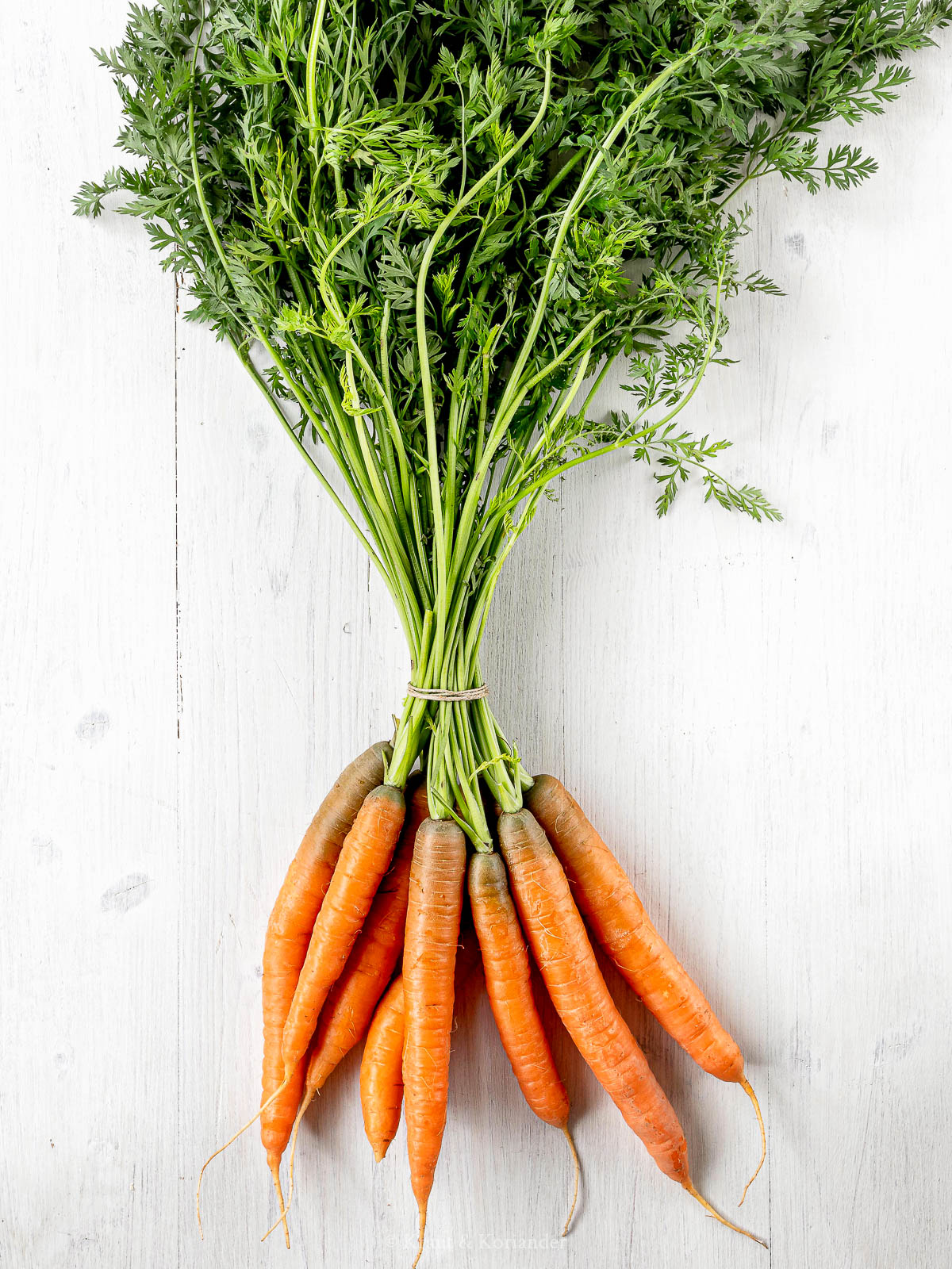 Geröstete Karotten mit Karottengrün-Pesto